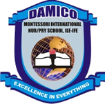 damico montessori school